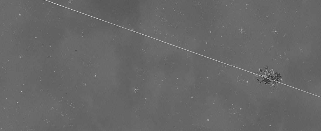 スターストリングスより