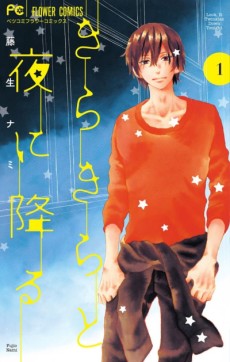 きらきらと夜に降る