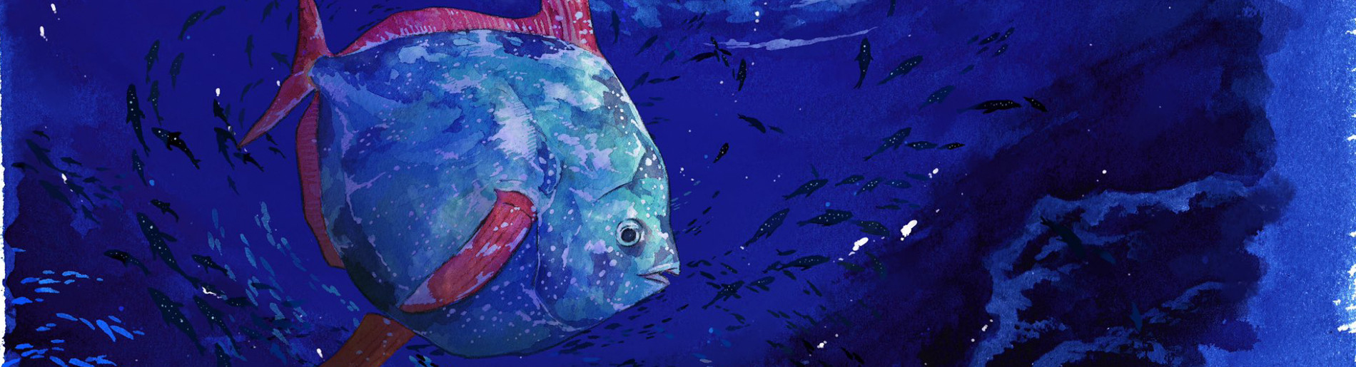 マグメル深海水族館