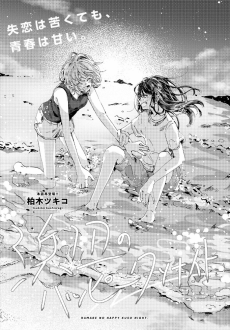 浜辺のハッピークソナイト