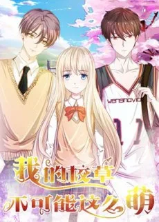 我的校草不可能这么萌