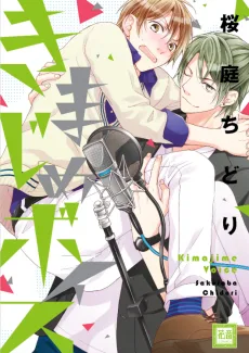 きまじめボイス