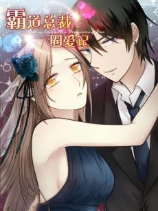 霸道总裁圈爱记