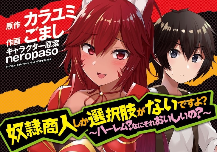 奴隷商人しか選択肢がないですよ？～ハーレム？なにそれおいしいの？～