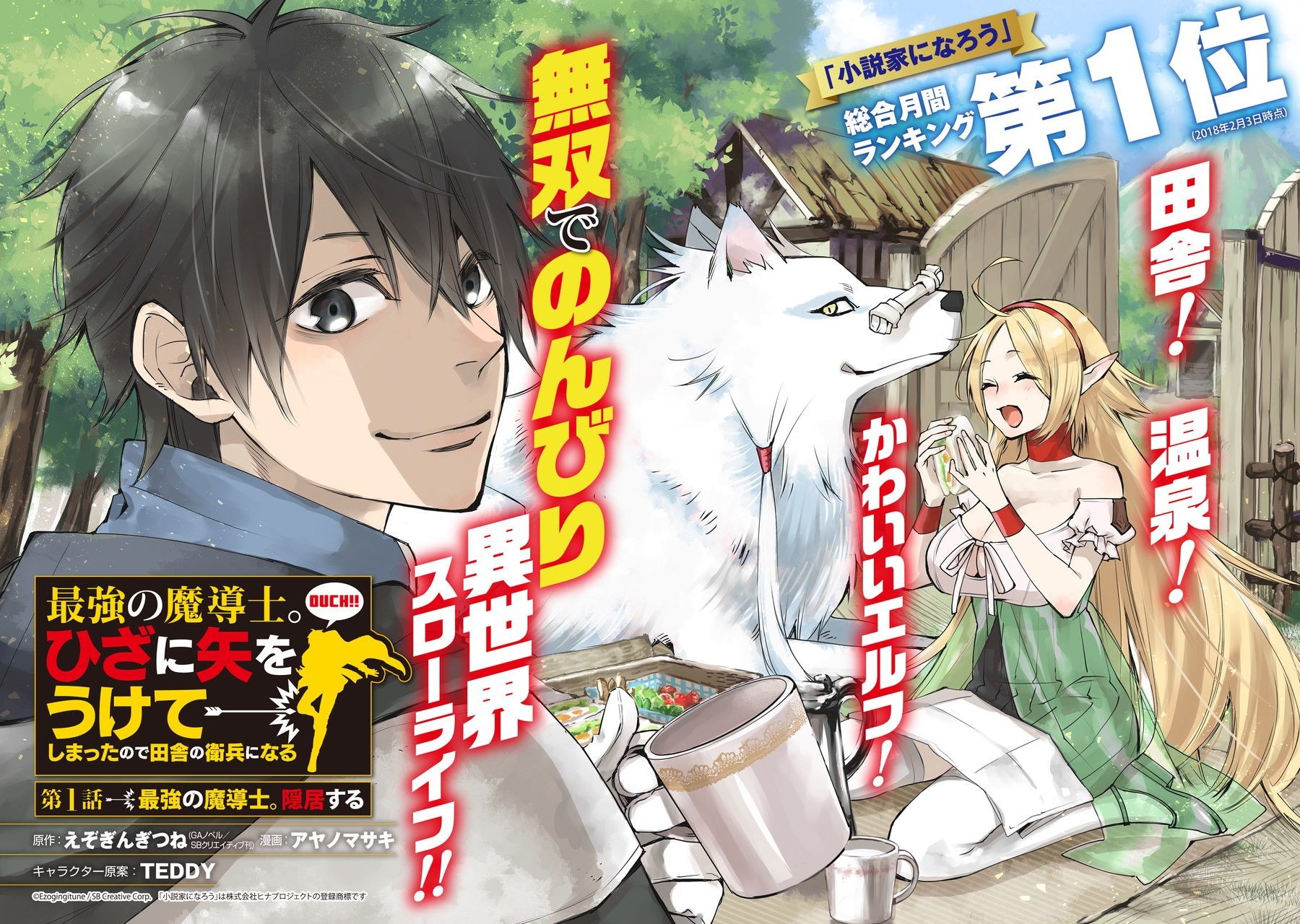 最強の魔導士。ひざに矢をうけてしまったので田舎の衛兵になる