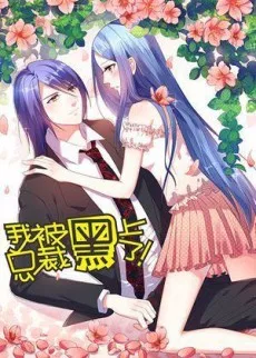 我被总裁黑上了！