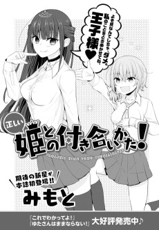 正しい姫との付き合いかた！