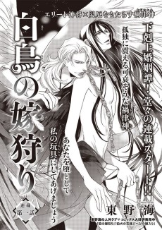 白鳥の嫁狩り