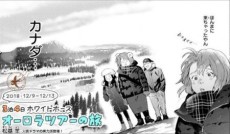 3泊4日ホワイトホース オーロラツアーの旅