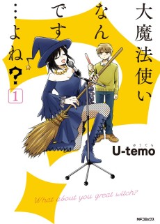 大魔法使いなんです…よね?