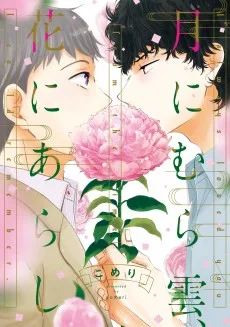 月にむら雲、花にあらし