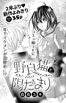 野良猫の陽だまり