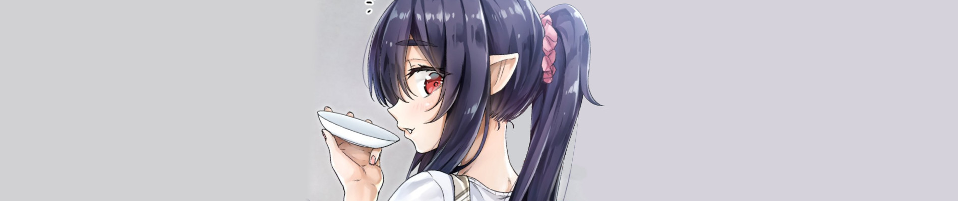 就活失敗したサキュバスさんを拾いました