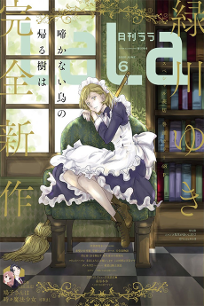 啼かない鳥の帰る樹は