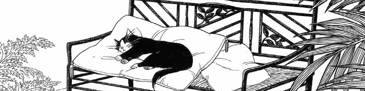 猫は秘密の場所にいる