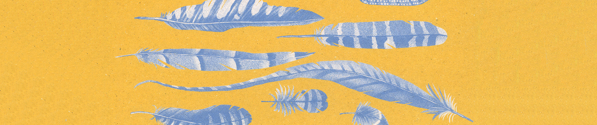 潜水士とクラゲ