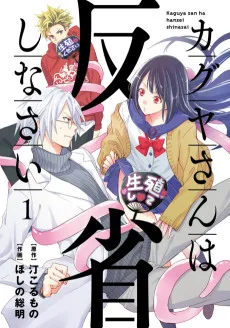 カグヤさんは反省しなさい