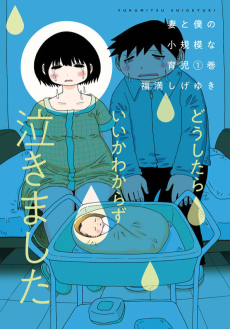 妻と僕の小規模な育児