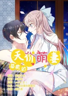 总裁的天价萌妻