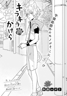 キラキラのかけら