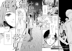 気猫は夢を見ない