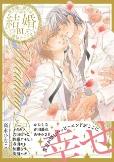 結婚BL