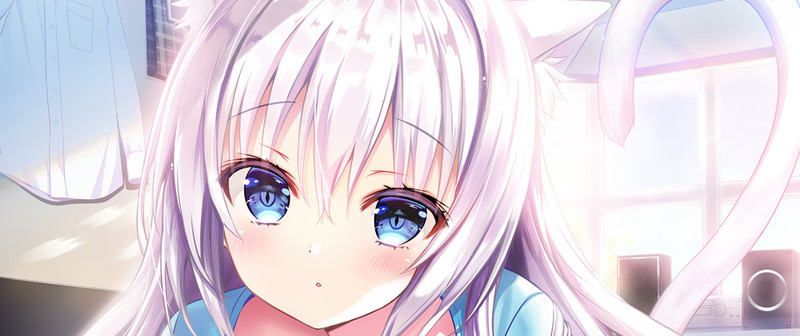 寂しがり屋のむぼうびニャンコ