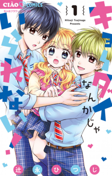 キョーダイなんかじゃいられない！