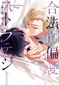 合法的偏愛ストラテジー