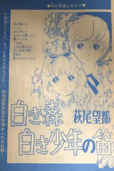 白き森白き少年の笛