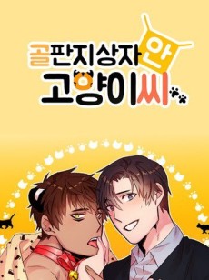 골판지 상자 안 고양이씨