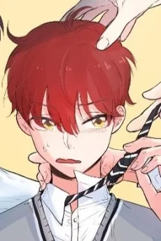 여우를 구해줘!