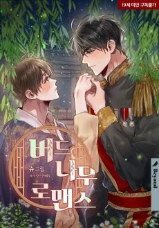 버드나무 로맨스