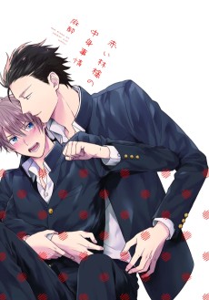 赤い林檎の中身事情