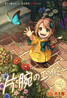 片腕のエイミー