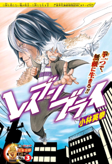 レイブンブライ