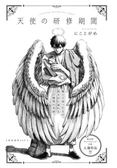 天使の研修期間