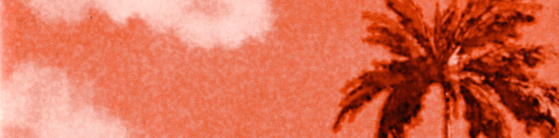 ボボボーボ・ボーボボ?―澤井啓夫短編集