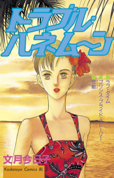 トラブル・ハネムーン