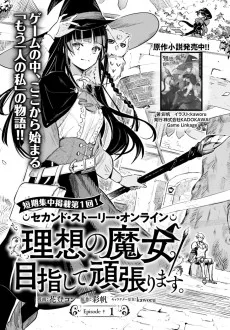 セカンド・ストーリー・オンライン 理想の魔女目指して頑張ります。