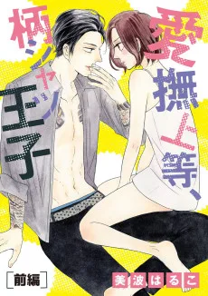 愛撫上等、柄シャツ王子