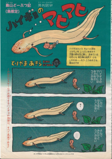 ハイギョのマヒマヒ