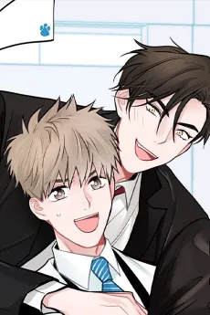 고양이의 수트 개의 넥타이