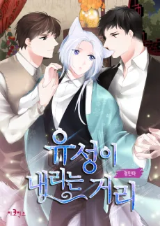 유성이 내리는 거리