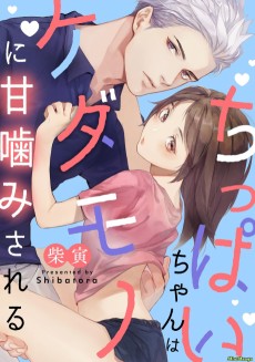 ちっぱいちゃんはケダモノに甘噛みされる