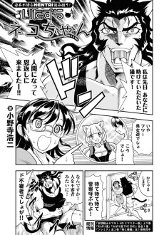 いたずらネコちゃん