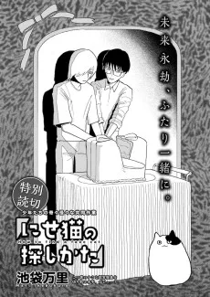 にせ猫の探しかた