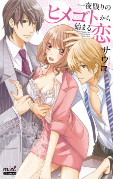 一夜限りのヒメゴトから始まる恋