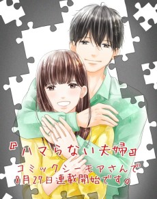 ハマらない夫婦 ～私たちは一つになれない～