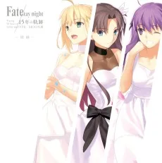 Fate/stay night 15年の軌跡 TYPE-MOON展